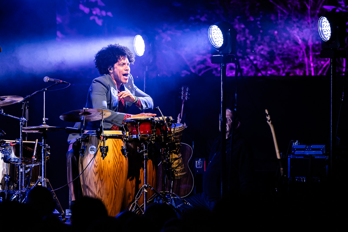 Bart Peeters @ OLT Rivierenhof, picture 37, photographed by Marc Verdonck - FrontView Magazine