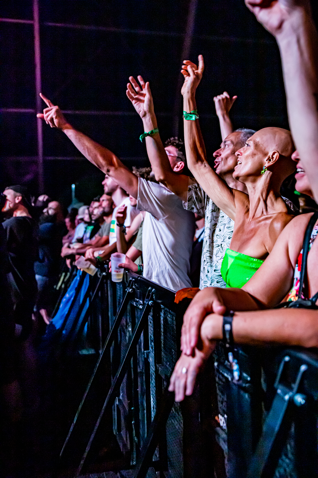 Goose @ Rock Herk, picture 2, photographed by Leen Verlinden - FrontView Magazine