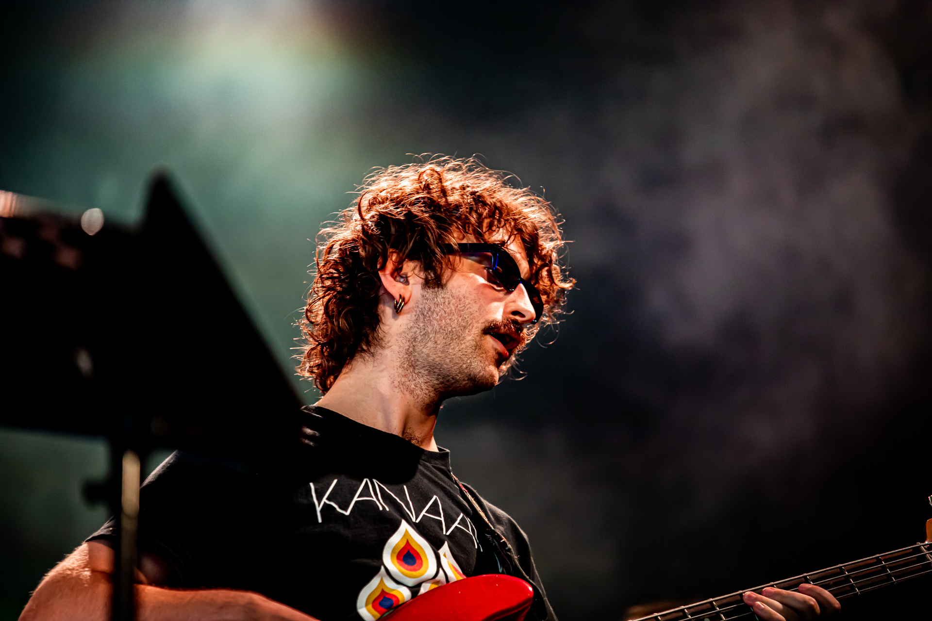 Mojo & the Kitchen Brothers @ Rock Herk, picture 2, photographed by Leen Verlinden - FrontView Magazine