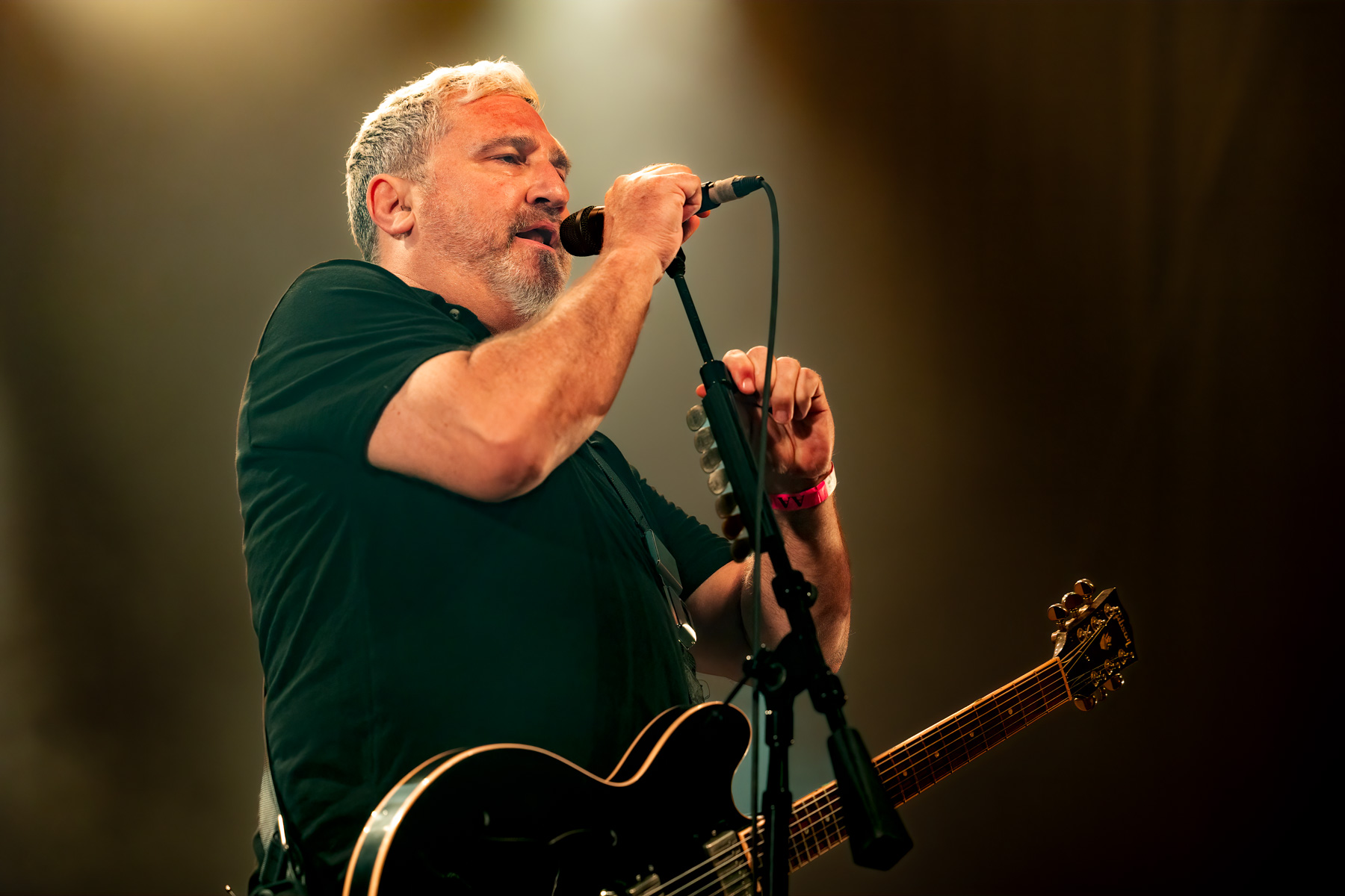 The Afghan Whigs @ Rock Herk, picture 4, photographed by Dorien Goetschalckx - FrontView Magazine