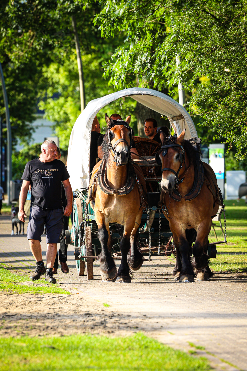 De Klokkenluider van de Notre Dame @ Donkmeer, picture 16, photographed by Kitty van de Waart - FrontView Magazine