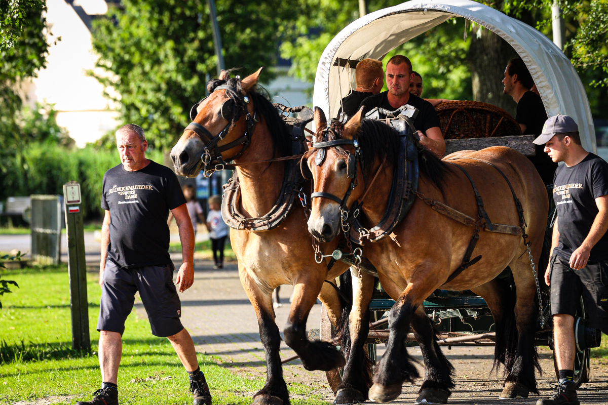 De Klokkenluider van de Notre Dame @ Donkmeer, picture 17, photographed by Kitty van de Waart - FrontView Magazine