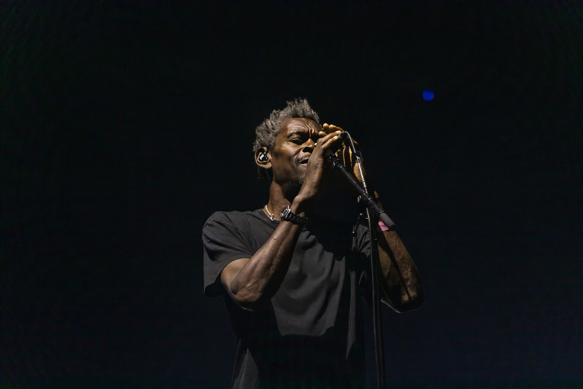 Massive Attack @ Lokerse Feesten, picture 6, photographed by Edwin Houdevelt - FrontView Magazine