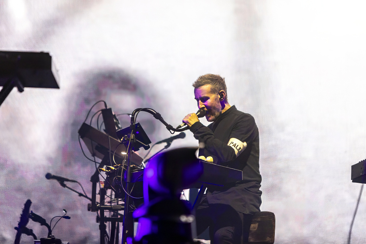 Massive Attack @ Lokerse Feesten, picture 11, photographed by Edwin Houdevelt - FrontView Magazine
