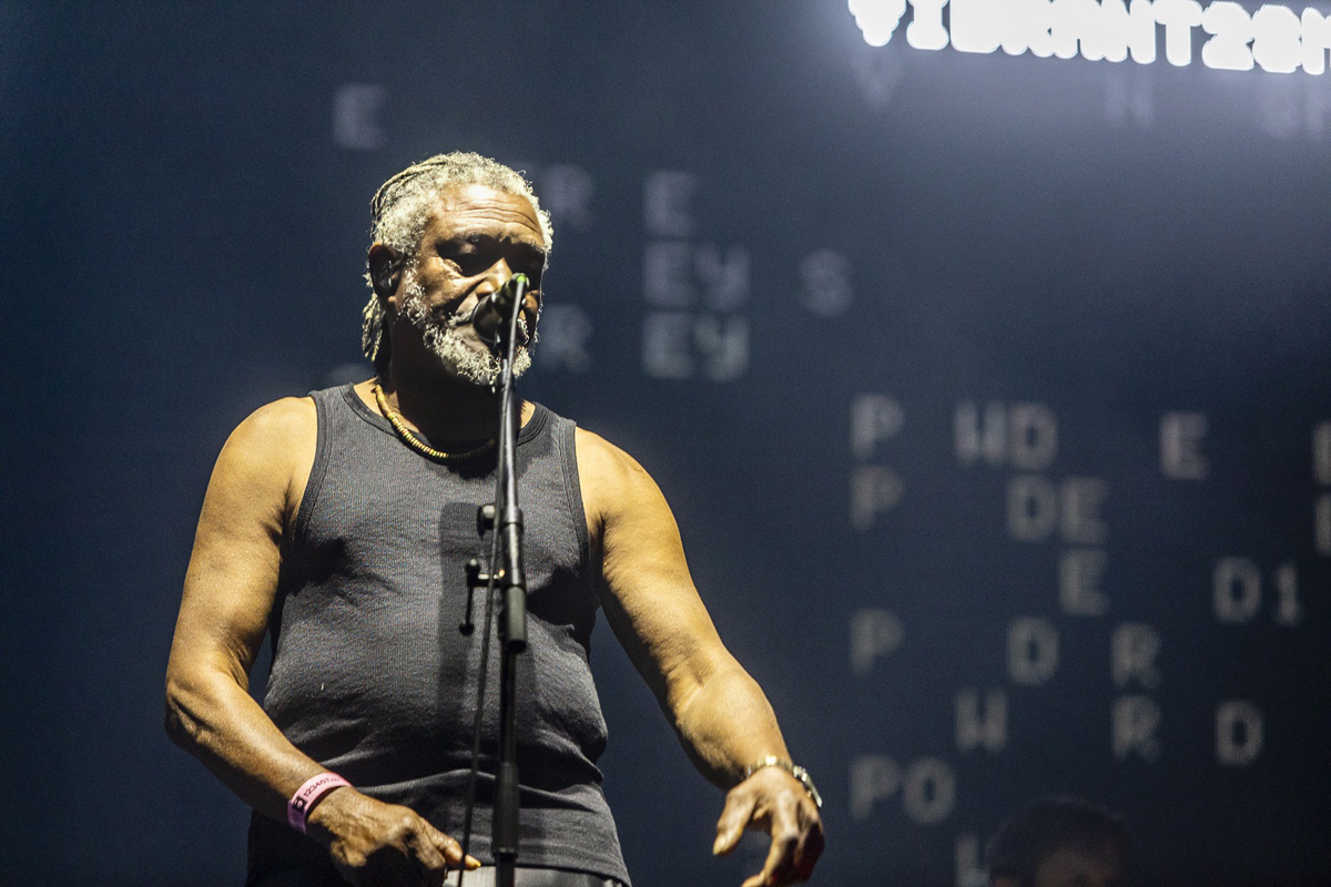Massive Attack @ Lokerse Feesten, picture 26, photographed by Edwin Houdevelt - FrontView Magazine