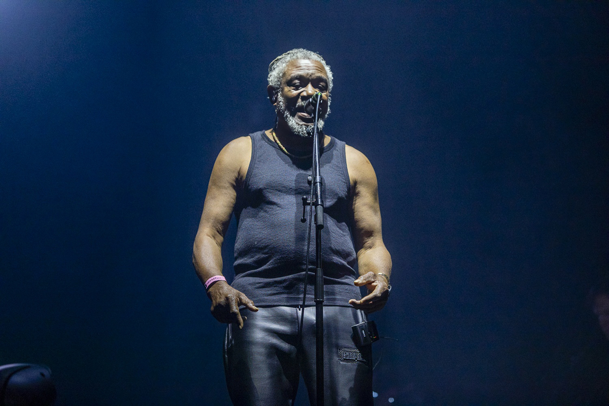 Massive Attack @ Lokerse Feesten, picture 31, photographed by Edwin Houdevelt - FrontView Magazine