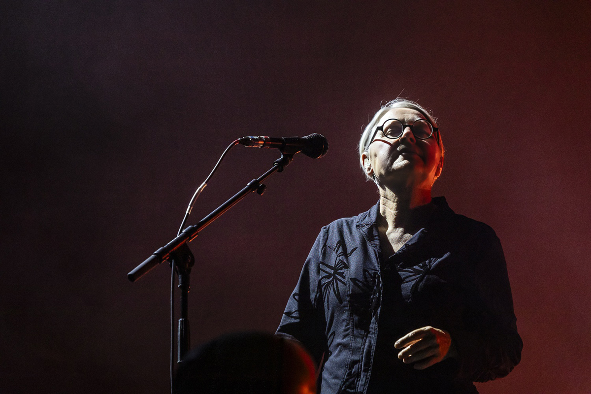 Massive Attack @ Lokerse Feesten, picture 33, photographed by Edwin Houdevelt - FrontView Magazine
