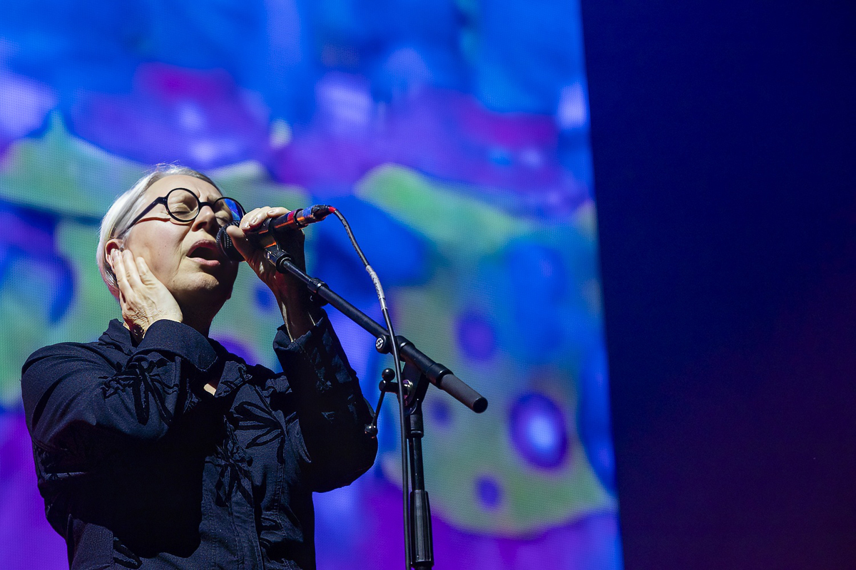 Massive Attack @ Lokerse Feesten, picture 39, photographed by Edwin Houdevelt - FrontView Magazine