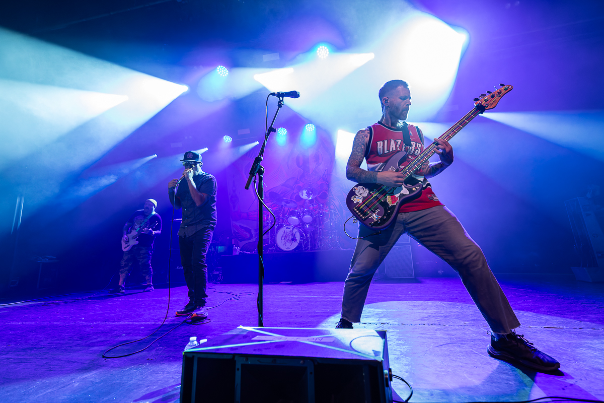 Alien Ant Farm @ Trix, picture 12, photographed by David Johnson - FrontView Magazine