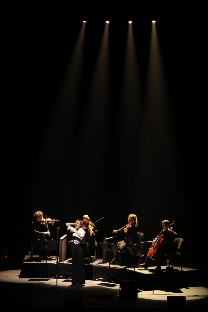 Hooverphonic and Strings Hooverphonic @ Muziekgebouw Eindhoven, picture 37, photographed by Kitty van de Waart - FrontView Magazine
