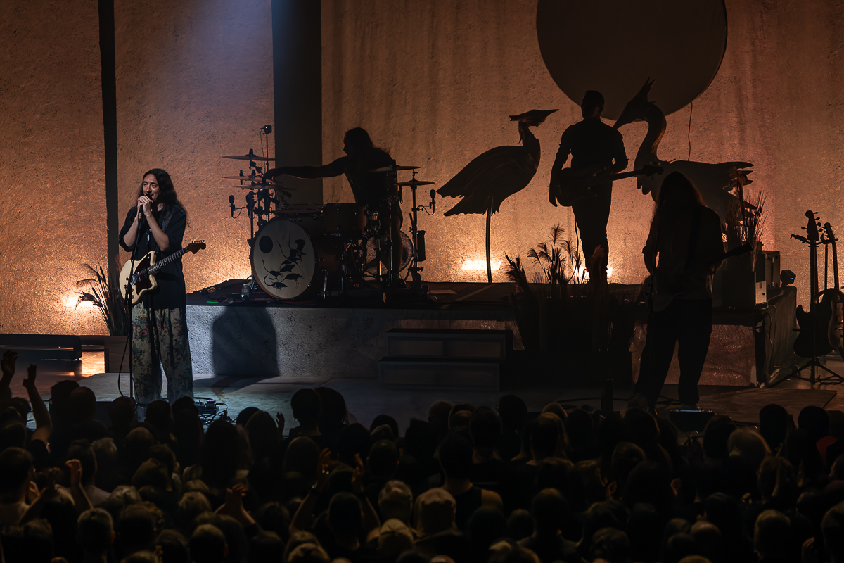 Alcest @ AB, foto 14, foto's door David Johnson - FrontView Magazine