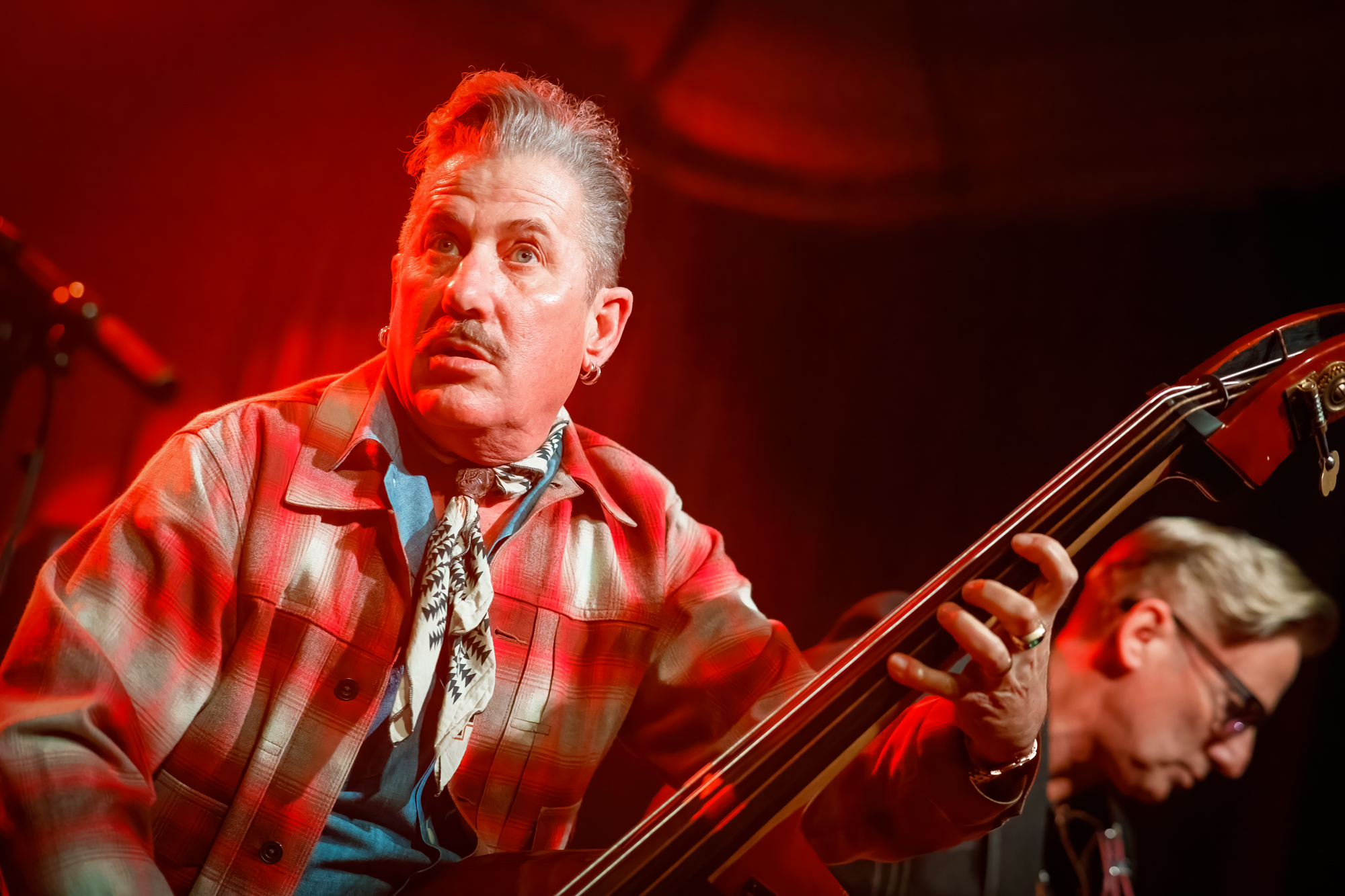 Lee Rocker (The Stray Cats), picture 10, photographed by Paul Jongeneelen - FrontView Magazine