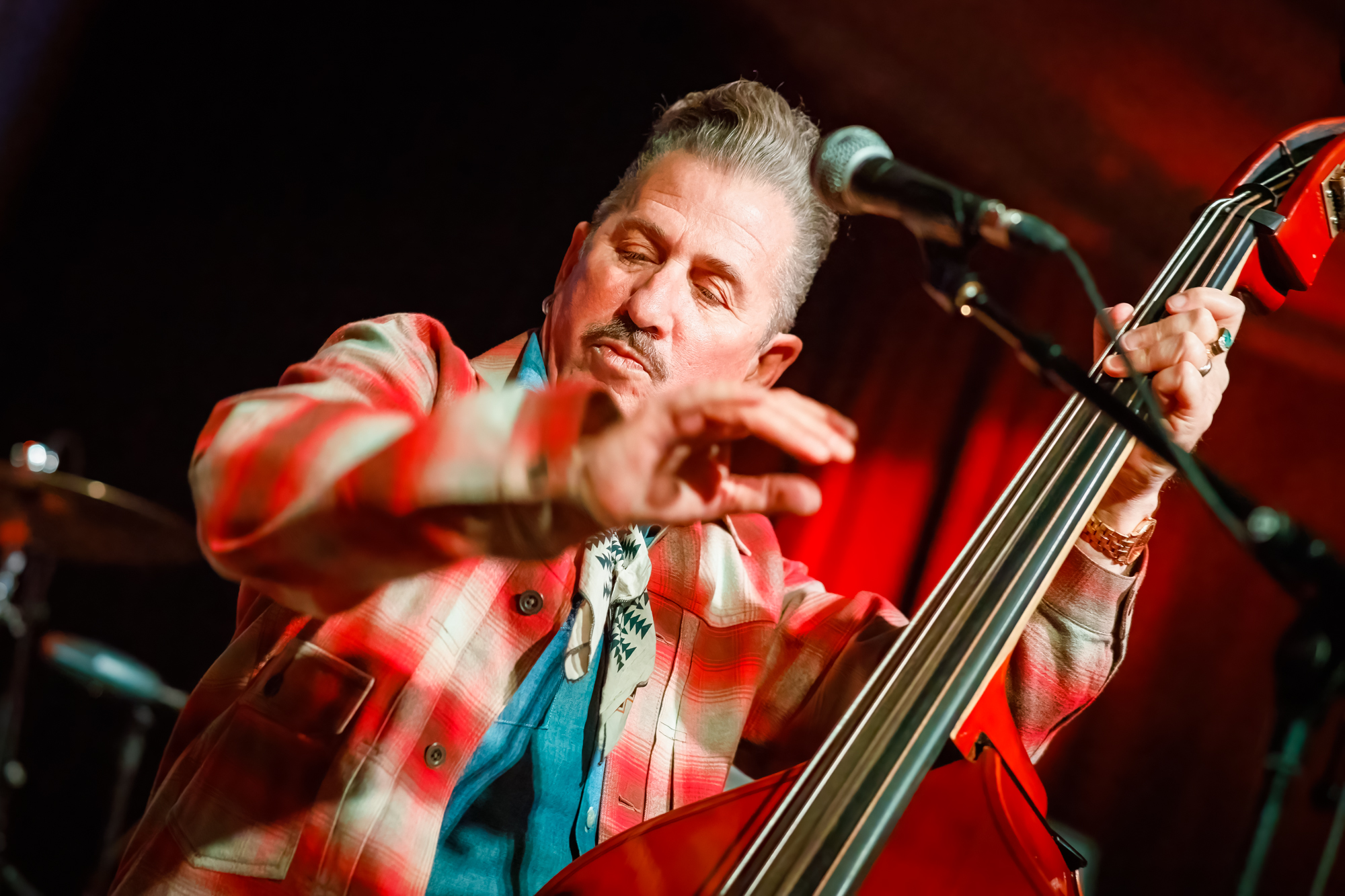 Lee Rocker (The Stray Cats), picture 12, photographed by Paul Jongeneelen - FrontView Magazine