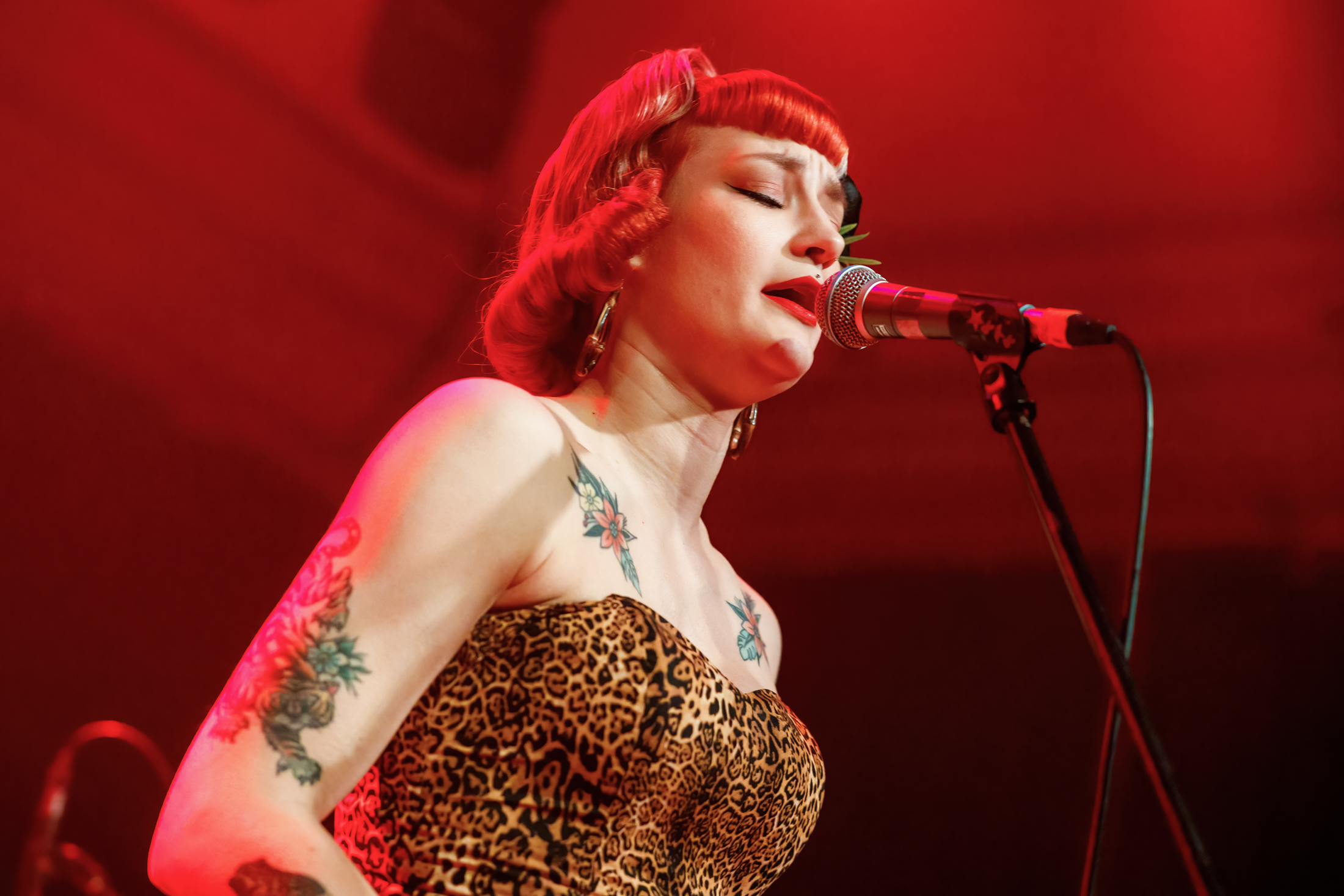 Wild Deuces In concert, foto 14, foto's door Paul Jongeneelen - FrontView Magazine