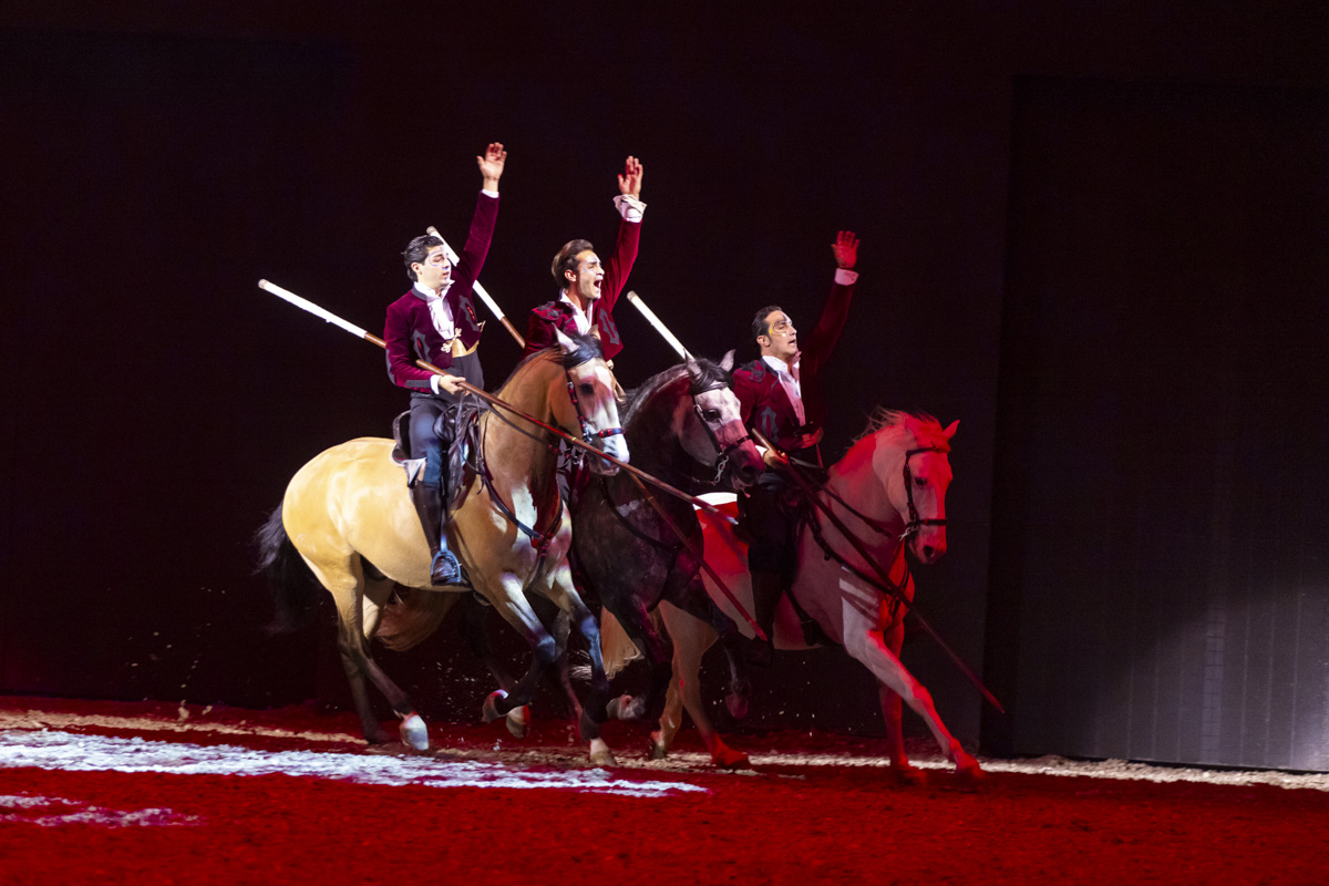 Cavalluna Grand Moments @ sportpaleis, picture 6, photographed by dirk janssens - FrontView Magazine