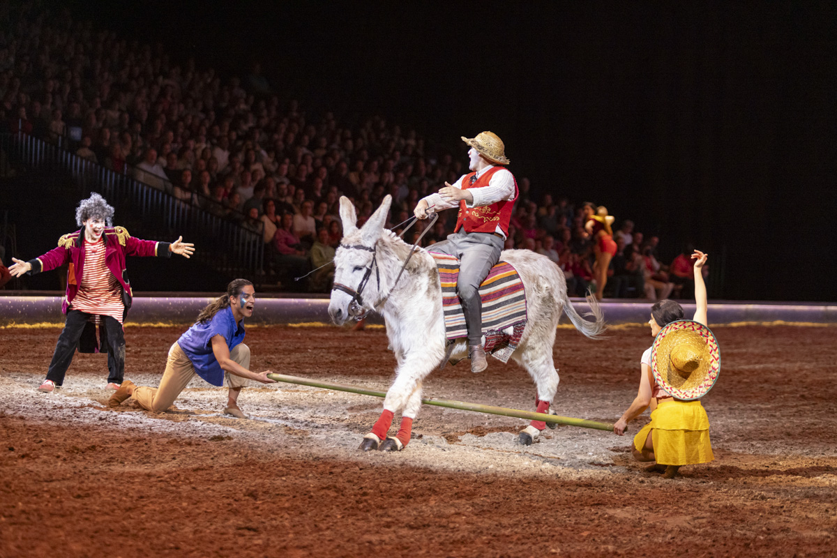 Cavalluna Grand Moments @ sportpaleis, picture 8, photographed by dirk janssens - FrontView Magazine