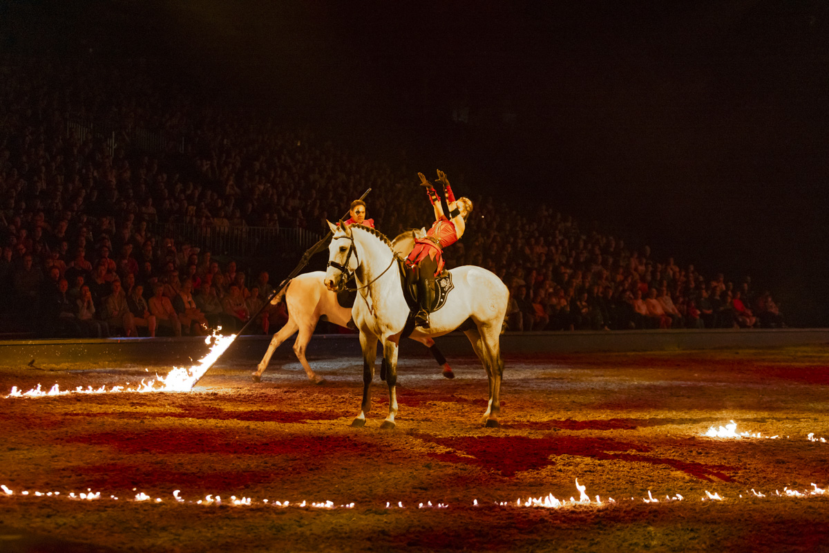Cavalluna Grand Moments @ sportpaleis, picture 15, photographed by dirk janssens - FrontView Magazine