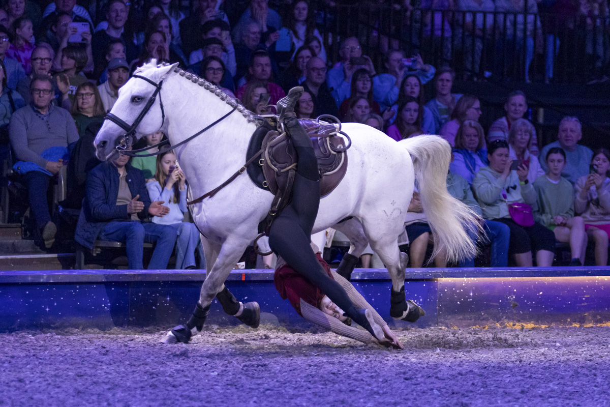 Cavalluna Grand Moments @ sportpaleis, picture 19, photographed by dirk janssens - FrontView Magazine