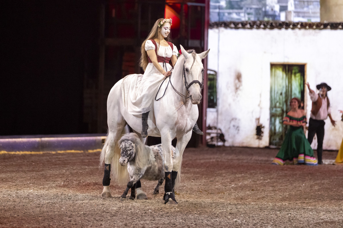 Cavalluna Grand Moments @ sportpaleis, picture 25, photographed by dirk janssens - FrontView Magazine