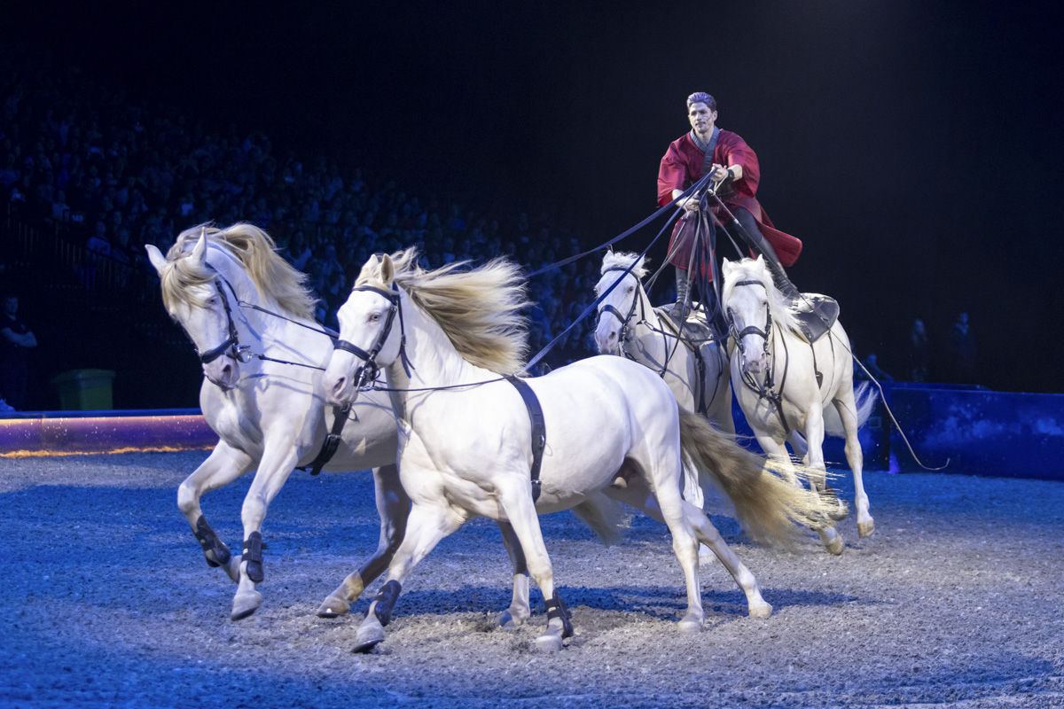 Cavalluna Grand Moments @ sportpaleis, picture 32, photographed by dirk janssens - FrontView Magazine