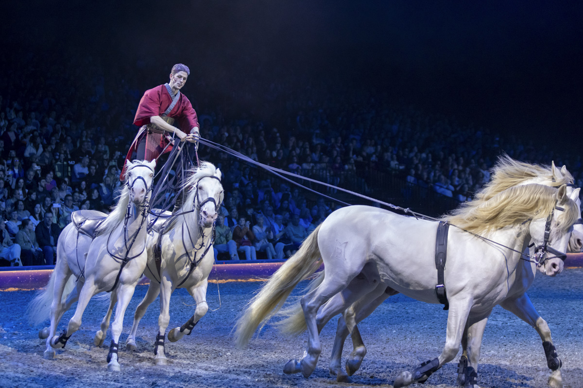 Cavalluna Grand Moments @ sportpaleis, picture 33, photographed by dirk janssens - FrontView Magazine
