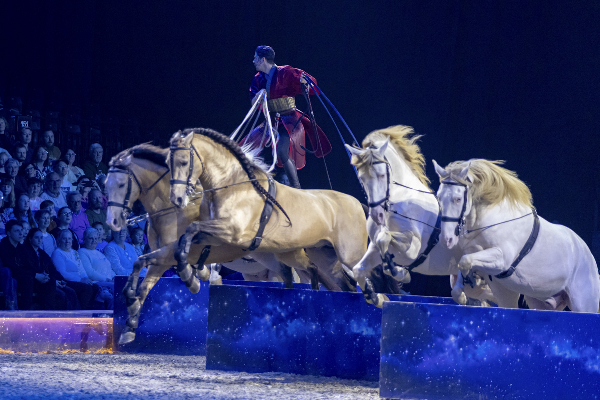 Cavalluna Grand Moments @ sportpaleis, picture 36, photographed by dirk janssens - FrontView Magazine