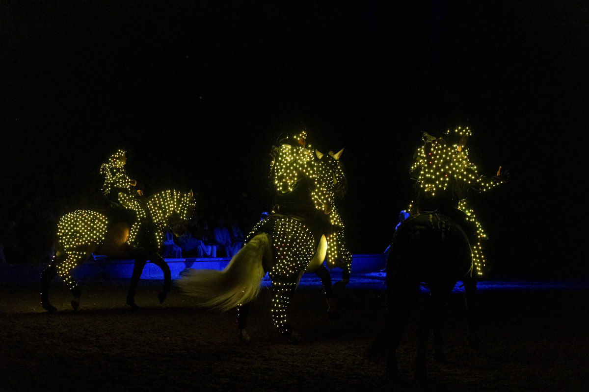 Cavalluna Grand Moments @ sportpaleis, picture 45, photographed by dirk janssens - FrontView Magazine