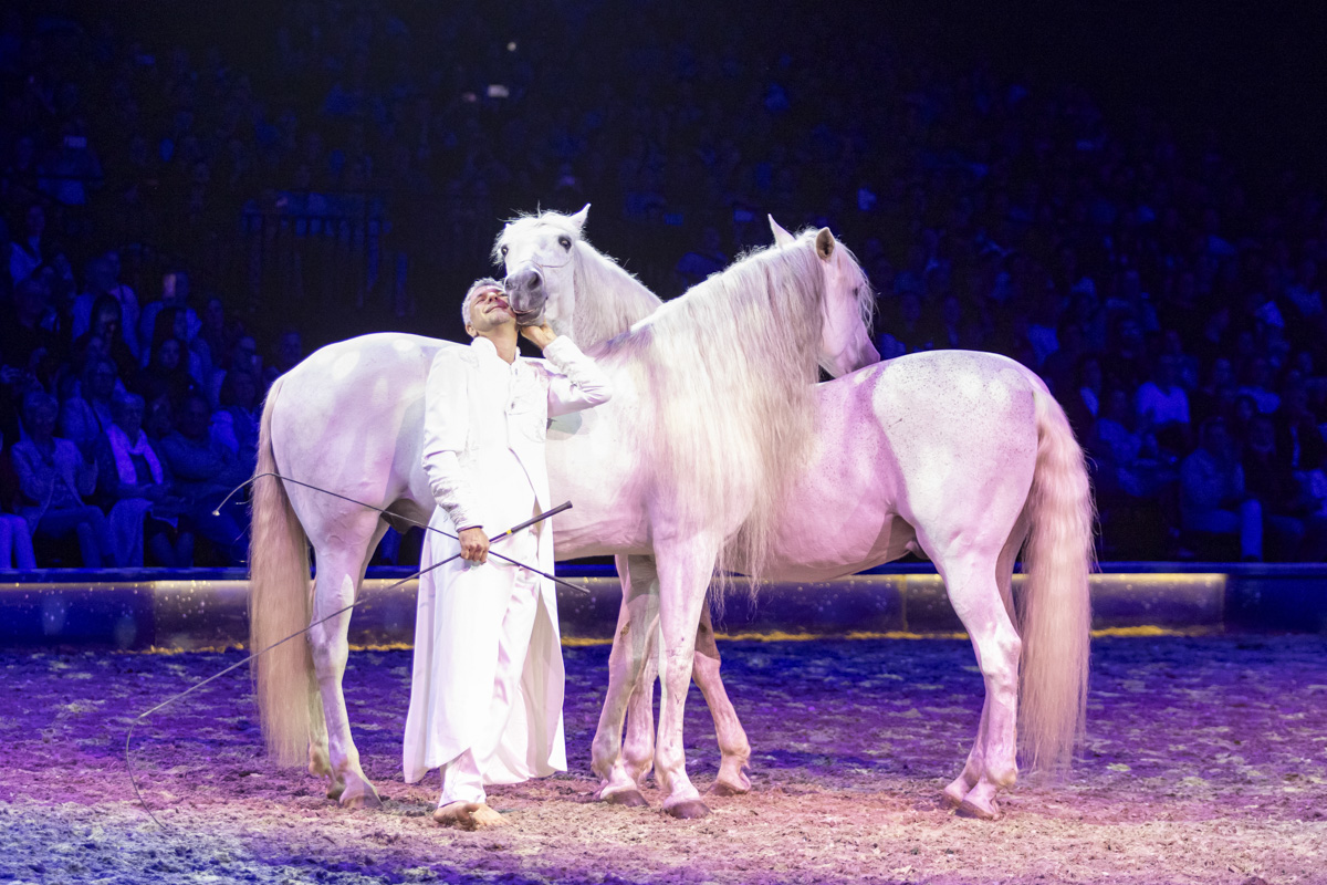 Cavalluna Grand Moments @ sportpaleis, picture 69, photographed by dirk janssens - FrontView Magazine