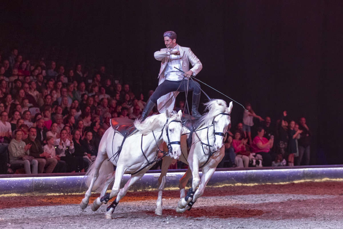 Cavalluna Grand Moments @ sportpaleis, picture 75, photographed by dirk janssens - FrontView Magazine
