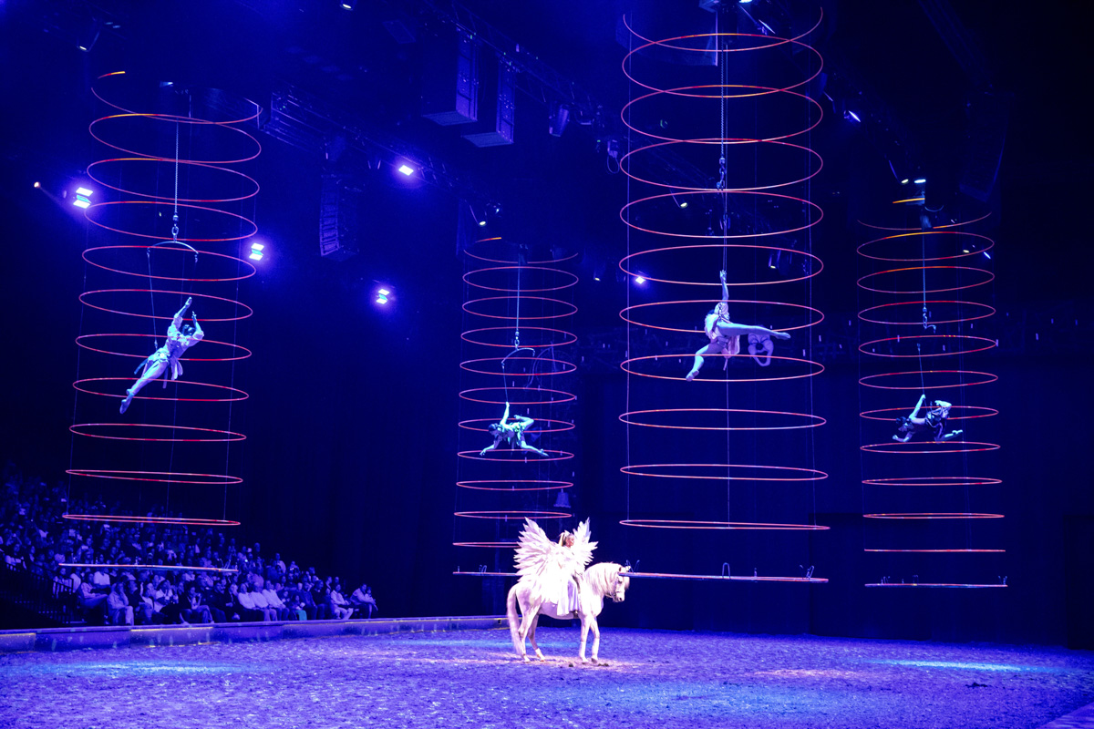 Cavalluna Grand Moments @ sportpaleis, picture 77, photographed by dirk janssens - FrontView Magazine