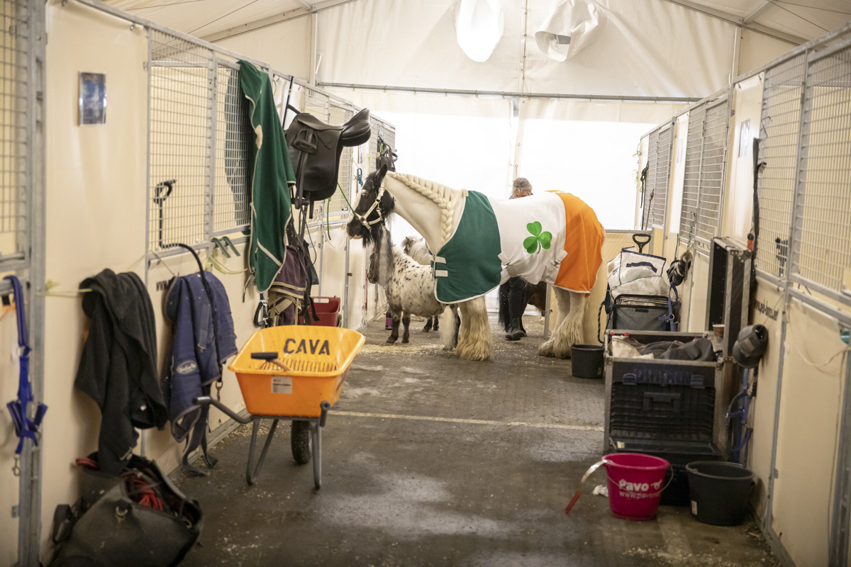 Cavalluna Stables tour @ sportpaleis, picture 2, photographed by dirk janssens - FrontView Magazine