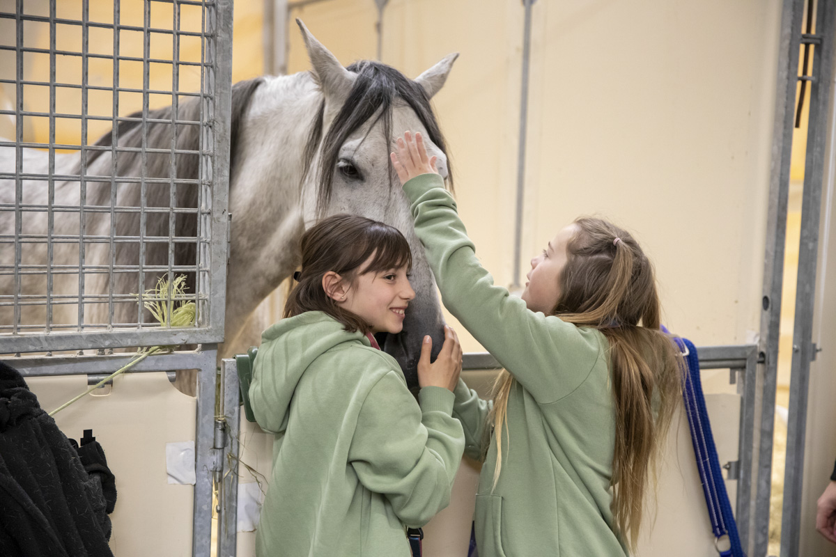 Cavalluna Stables tour @ sportpaleis, picture 5, photographed by dirk janssens - FrontView Magazine