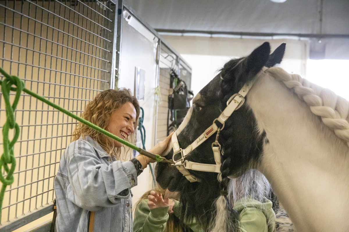 Cavalluna Stables tour @ sportpaleis, picture 6, photographed by dirk janssens - FrontView Magazine