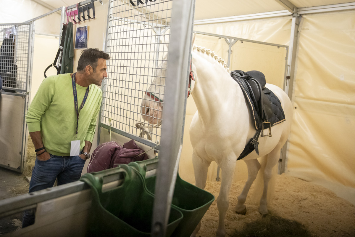 Cavalluna Stables tour @ sportpaleis, picture 9, photographed by dirk janssens - FrontView Magazine