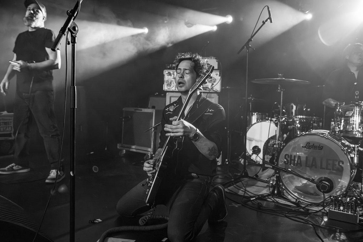 The Sha-La-Lees @ Trix, picture 10, photographed by Bart Janssens - FrontView Magazine