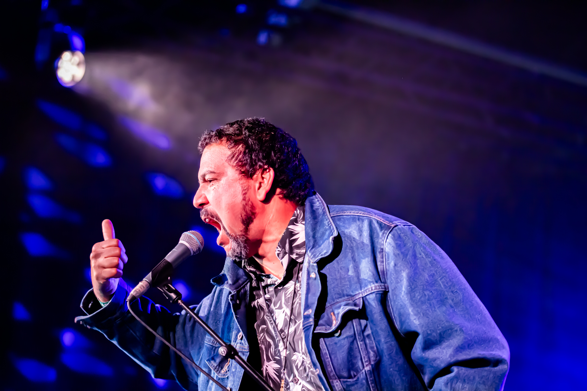 Delta Generators @ Blues Peer, picture 1, photographed by Leen Verlinden - FrontView Magazine