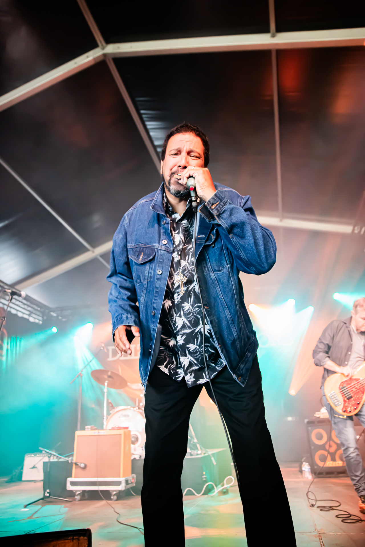 Delta Generators @ Blues Peer, picture 15, photographed by Leen Verlinden - FrontView Magazine
