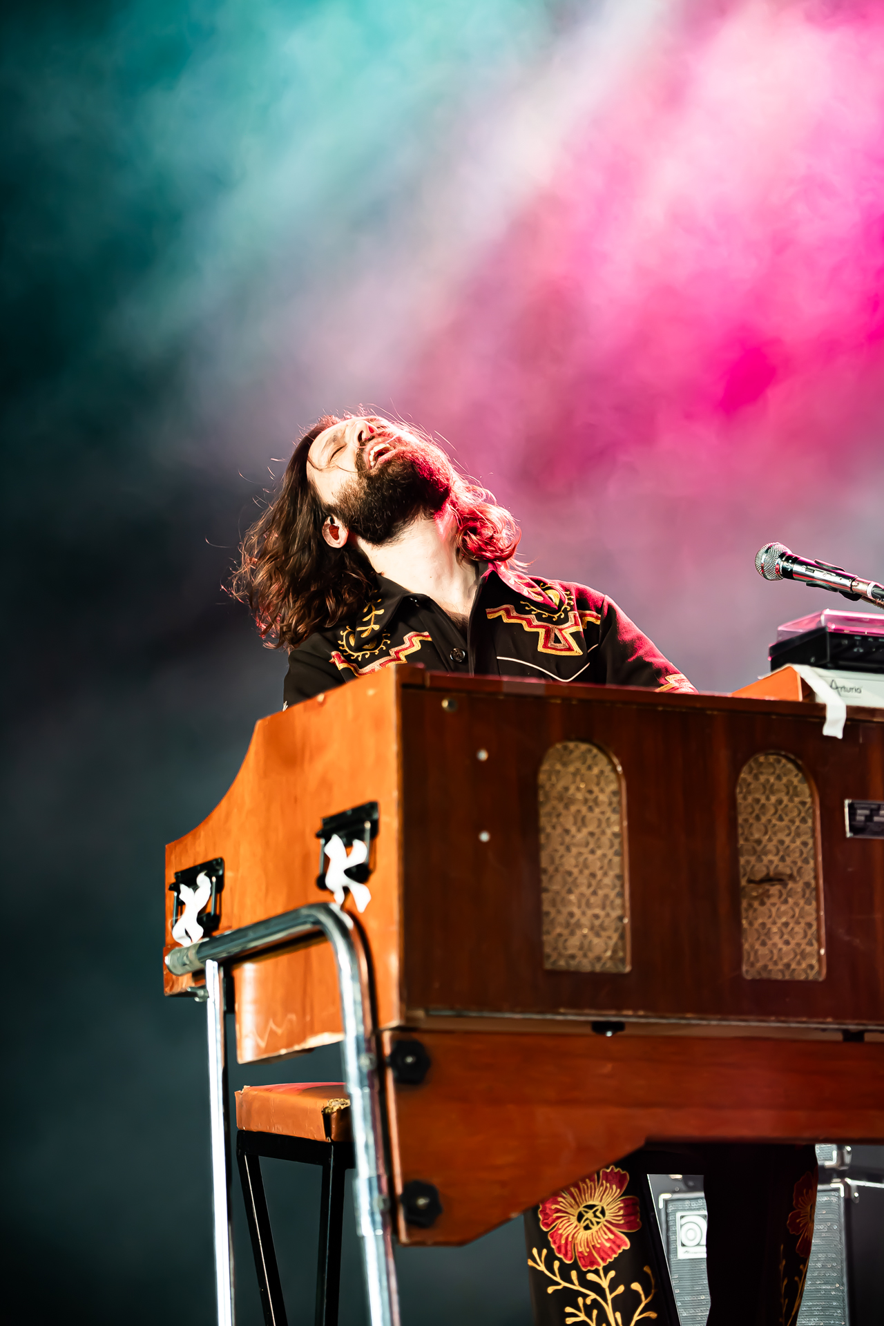 Dewolff @ Blues Peer, picture 13, photographed by Leen Verlinden - FrontView Magazine