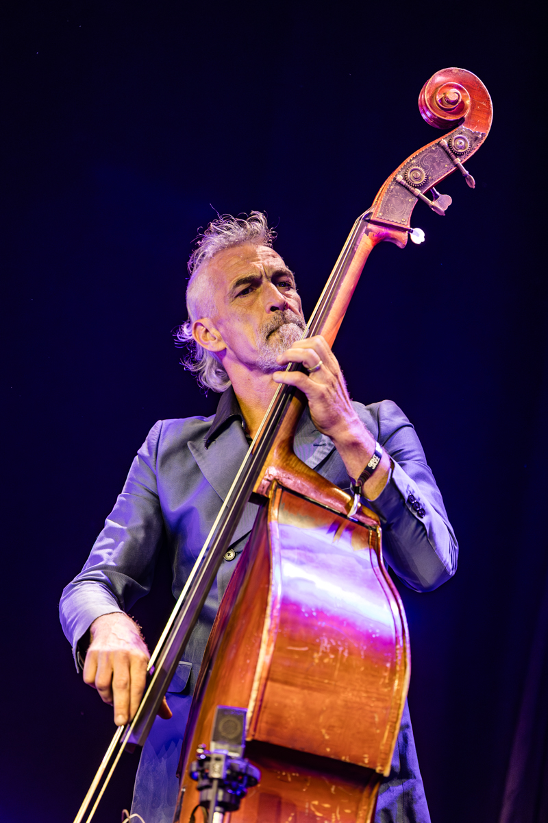 The Easywood Killers @ Gent Jazz, picture 5, photographed by FrontView Magazine