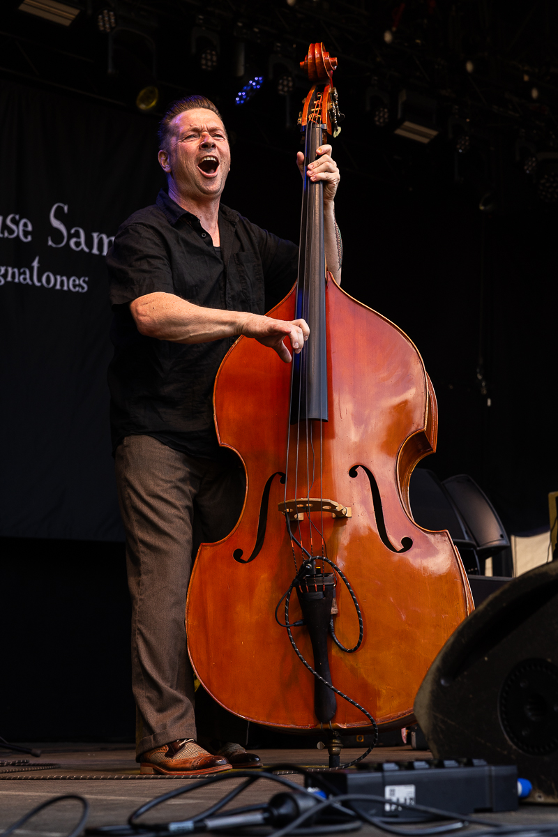 Doghouse Sam & his Magnatones @ Sjock, picture 6, photographed by David Johnson - FrontView Magazine