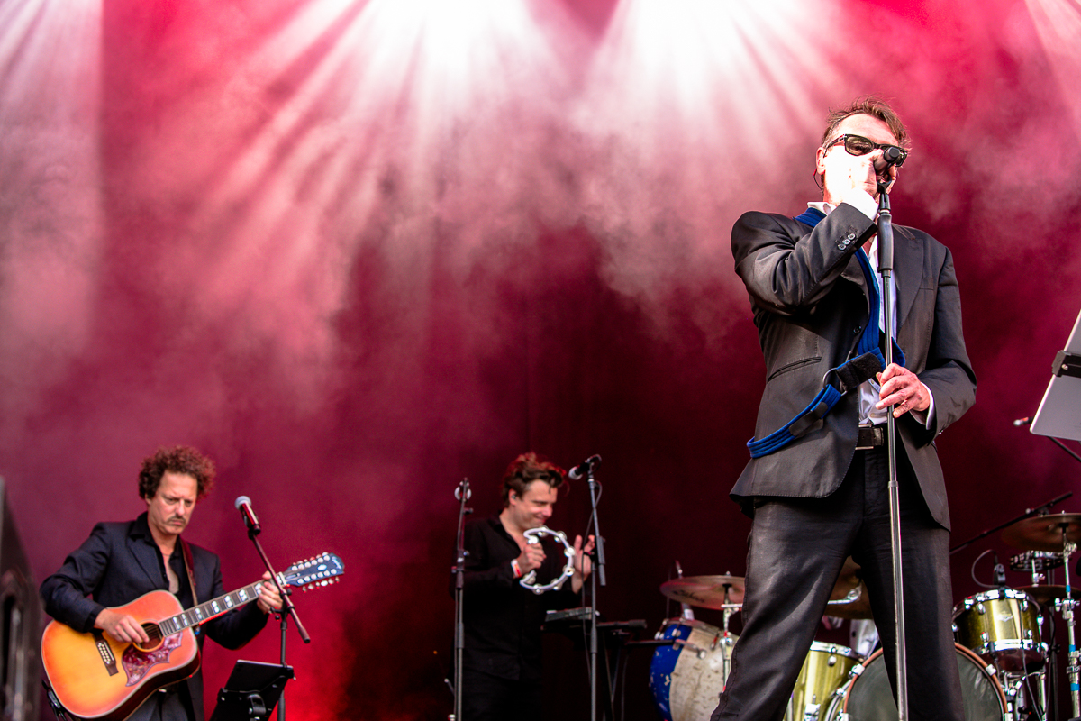 Daan @ Cactus festival, picture 9, photographed by Anais Callens - FrontView Magazine