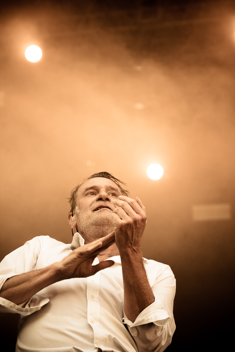 Daan @ Cactus festival, picture 26, photographed by Anais Callens - FrontView Magazine