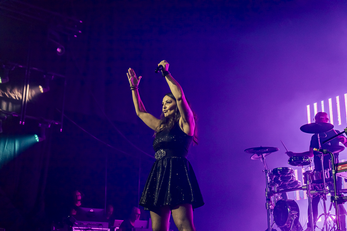 Regi Live @ Rock Zottegem, picture 12, photographed by FrontView Magazine