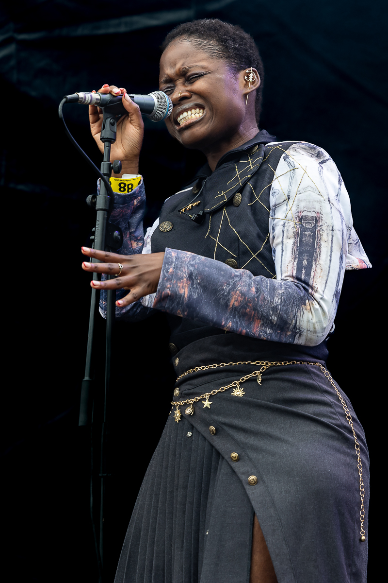 Zinger @ Beach Festival Nieuwpoort 2025, picture 13, photographed by Marc Verdonck - FrontView Magazine