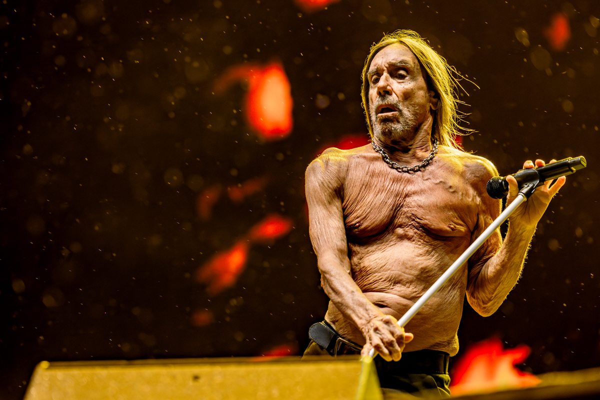 Iggy Pop @ Lokerse Feesten, picture 4, photographed by Dorien Goetschalckx - FrontView Magazine
