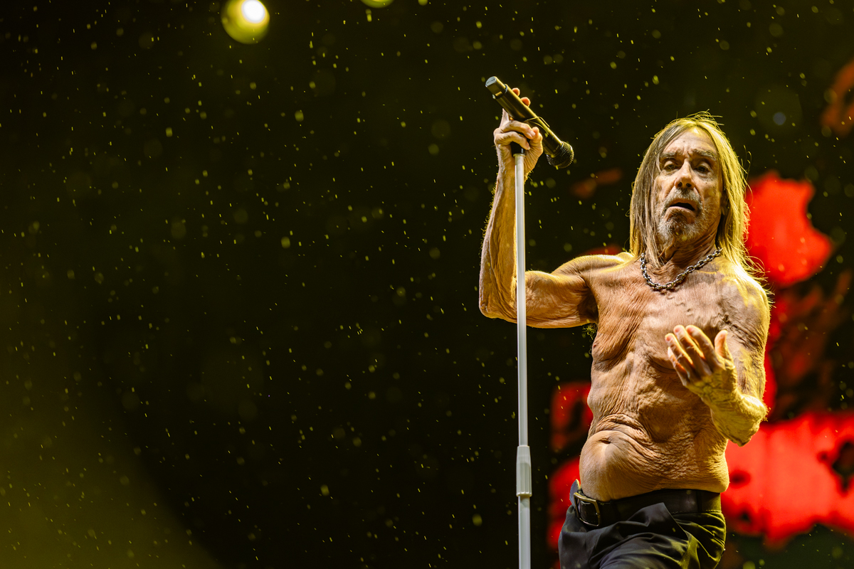 Iggy Pop @ Lokerse Feesten, picture 5, photographed by Dorien Goetschalckx - FrontView Magazine