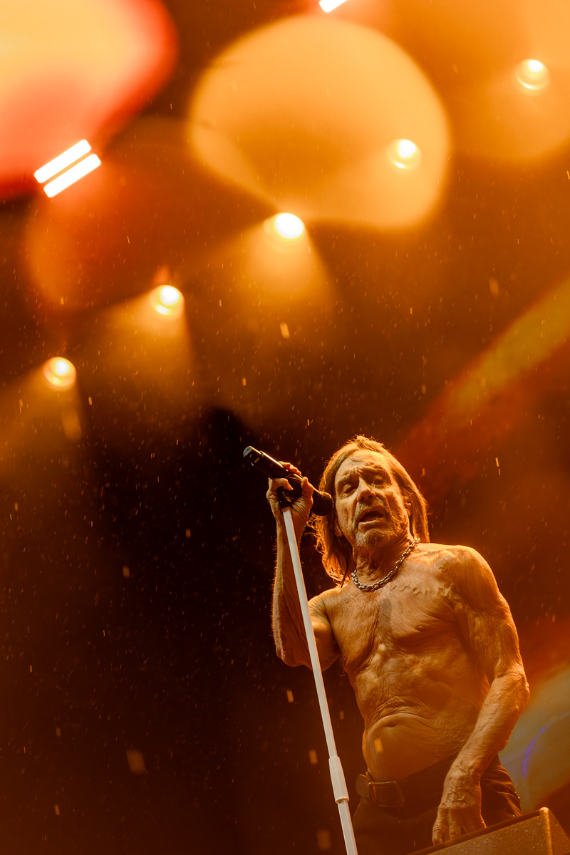 Iggy Pop @ Lokerse Feesten, picture 6, photographed by Dorien Goetschalckx - FrontView Magazine