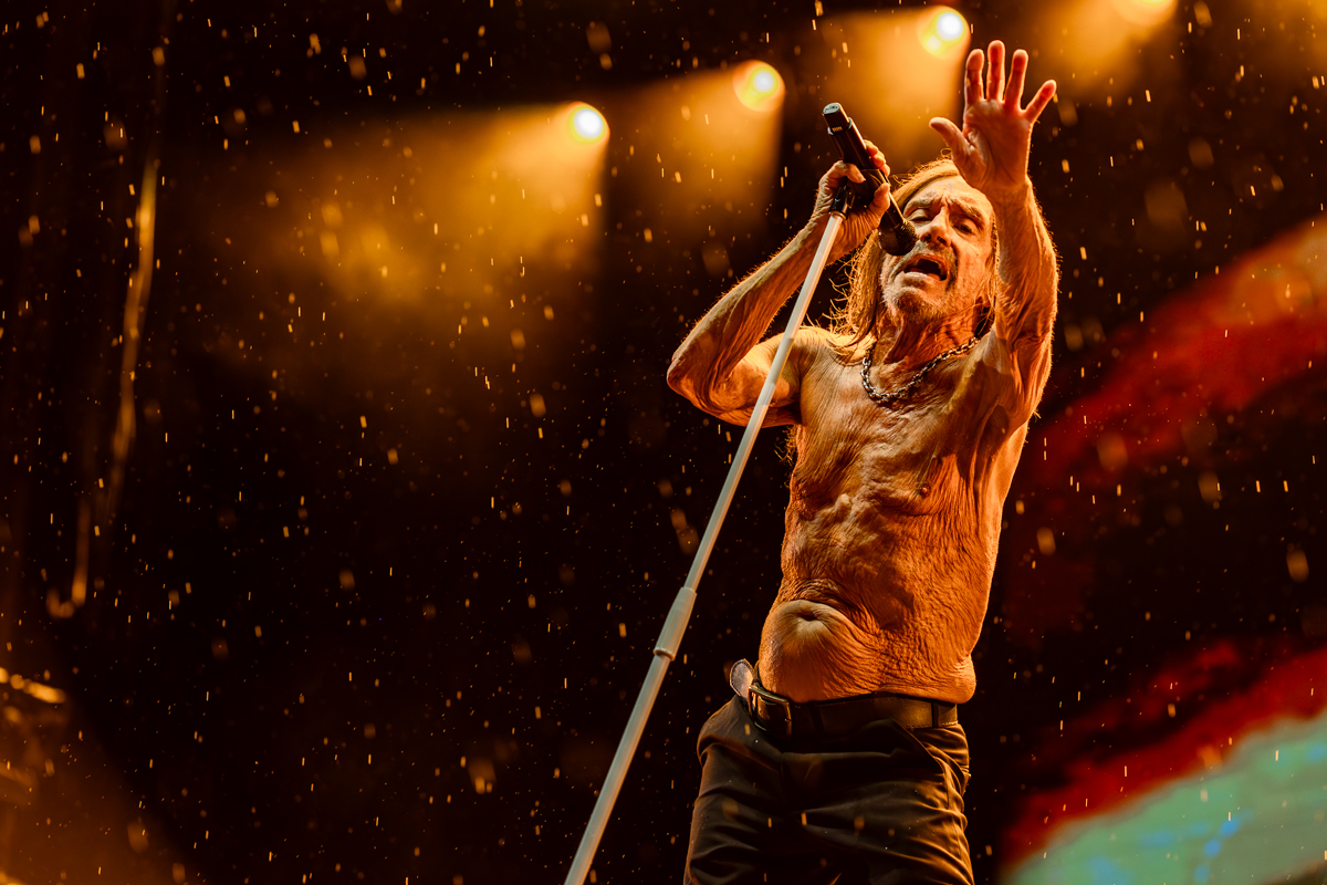 Iggy Pop @ Lokerse Feesten, picture 8, photographed by Dorien Goetschalckx - FrontView Magazine