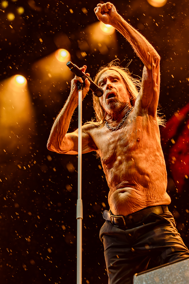 Iggy Pop @ Lokerse Feesten, picture 12, photographed by Dorien Goetschalckx - FrontView Magazine
