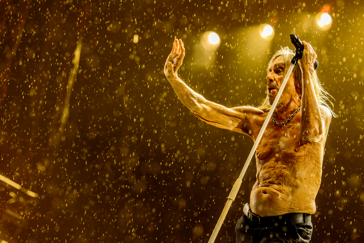 Iggy Pop @ Lokerse Feesten, picture 13, photographed by Dorien Goetschalckx - FrontView Magazine